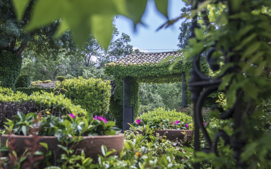 ¡La Primavera llega a nuestra Finca de bodas en Madrid! Descubre las ventajas de casarte en esta estación.