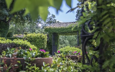 ¡La Primavera llega a nuestra Finca de bodas en Madrid! Descubre las ventajas de casarte en esta estación.